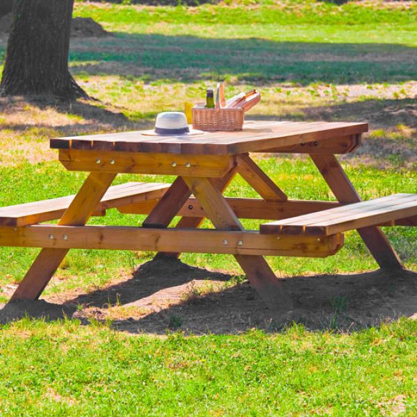 Zone de pic-nic chaillot