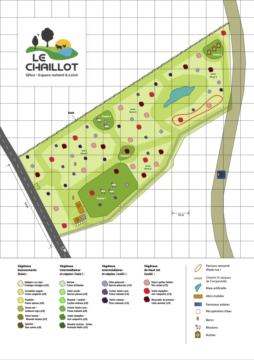 Le Chaillot Projection Plan